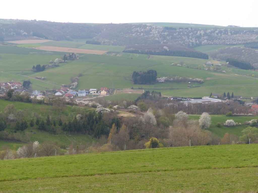 Blick auf Gundersweiler von der Waldhütte