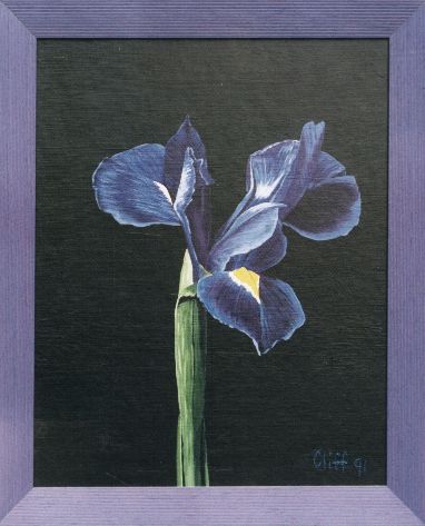 Iris (1991)