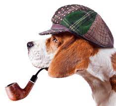 Krimi Tour mit Hund