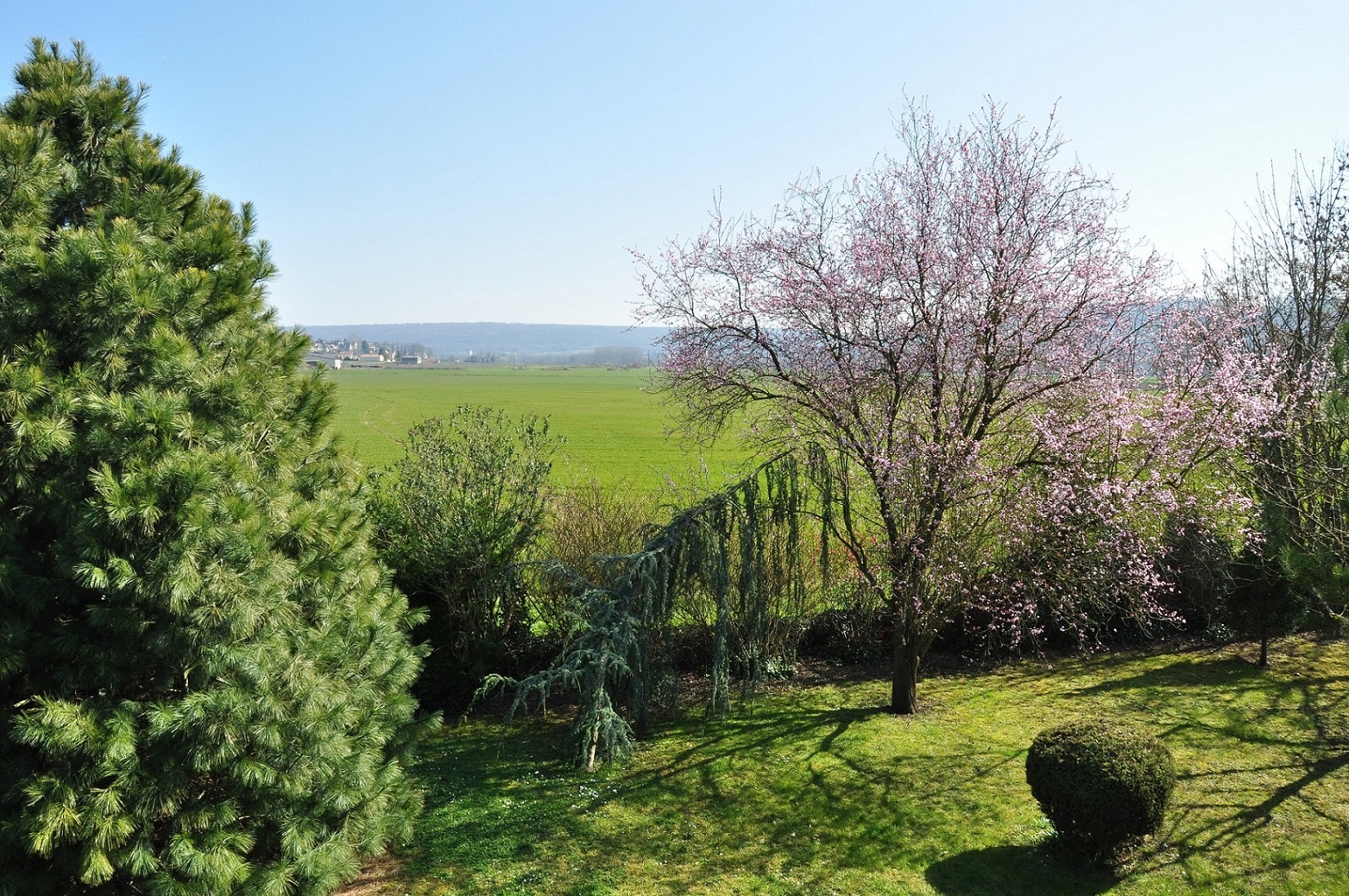 vue sur la vallée depuis le jardin paysager