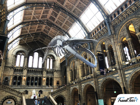 Natural History Museum Londen