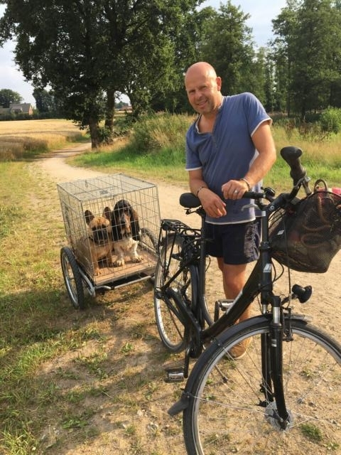 So gelangt der Hunde von heute an den Strand!