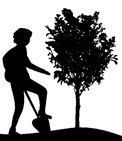 Symbol Bäume pflanzen
