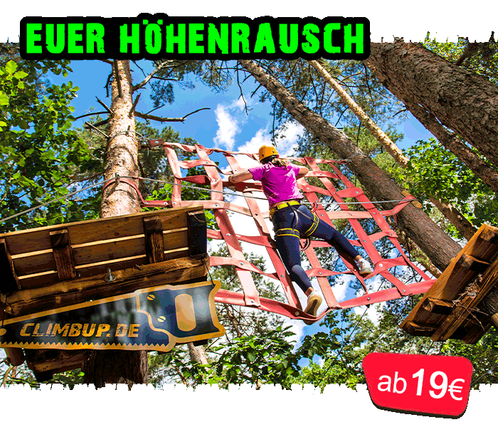 Schülerin klettert im CLIMB UP! - Kletterwald über ein hohes Netz-Element zwischen den Bäumen