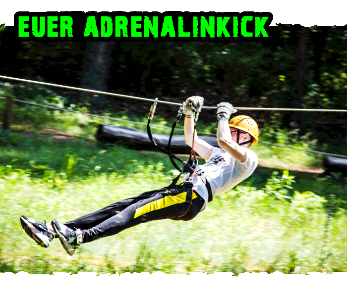 CLIMB UP! in Hennigsdorf: Seilrutsche und Adrenalin-Kick im Kletterpark bei Berlin