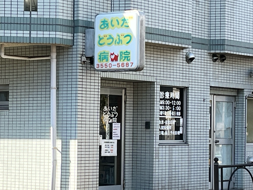 あいだどうぶつ病院