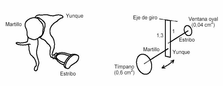 Impedanciometría: timpanometría y reflejo estapedial Impedanciometría: timpanometría y reflejo estapedial