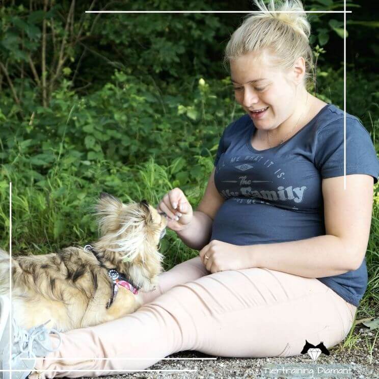 Kleinhund liegt entspannt auf dem Schoß seiner Bezugsperson während einer sanften Entspannungsübung, die die besondere Beziehungspflege und feinfühlige Arbeit mit kleinen Hunden bei Tiertraining Diamant wiederspiegelt