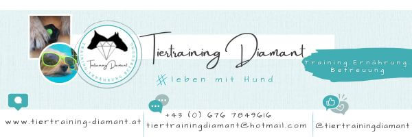 tiertraining diamant, kontakt tiertraining diamant, hundeschule salzburg, hundetraining salzburg, hundetraining kufstein, modernes hundetraining, hundeschule österreich, alltagstraining, hundeerziehung, hundeausbildung, ernährung hund, barf beratung hund
