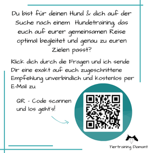 QR Code zum virtuellen Hundeausbildungsberater der Hundeschule Tiertraining Diamant in Salzburg Stadt, der auf Basis eines Fragebogens individuelle Empfehlungen innerhalb des gewaltfreien Hundetrainings erstellt und Kurse oder Einzeltraining vorschlägt