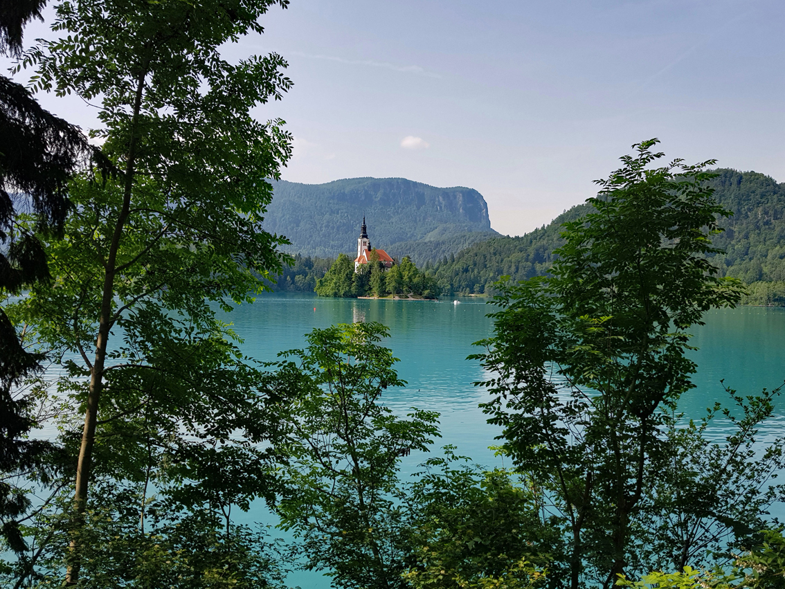 Bled Insel mit Kirche. Noch selten habe ich einen so von Touristen verseuchten Ort gesehen. Schade!