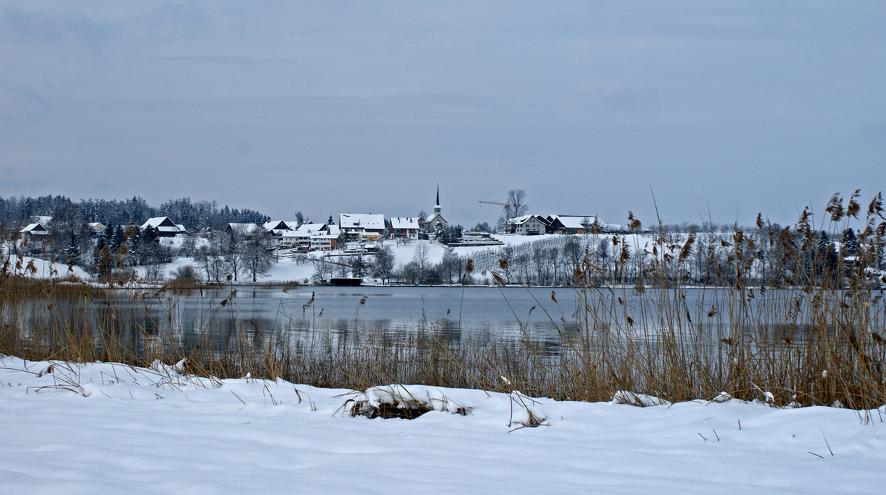 Seegräben Winter 2012