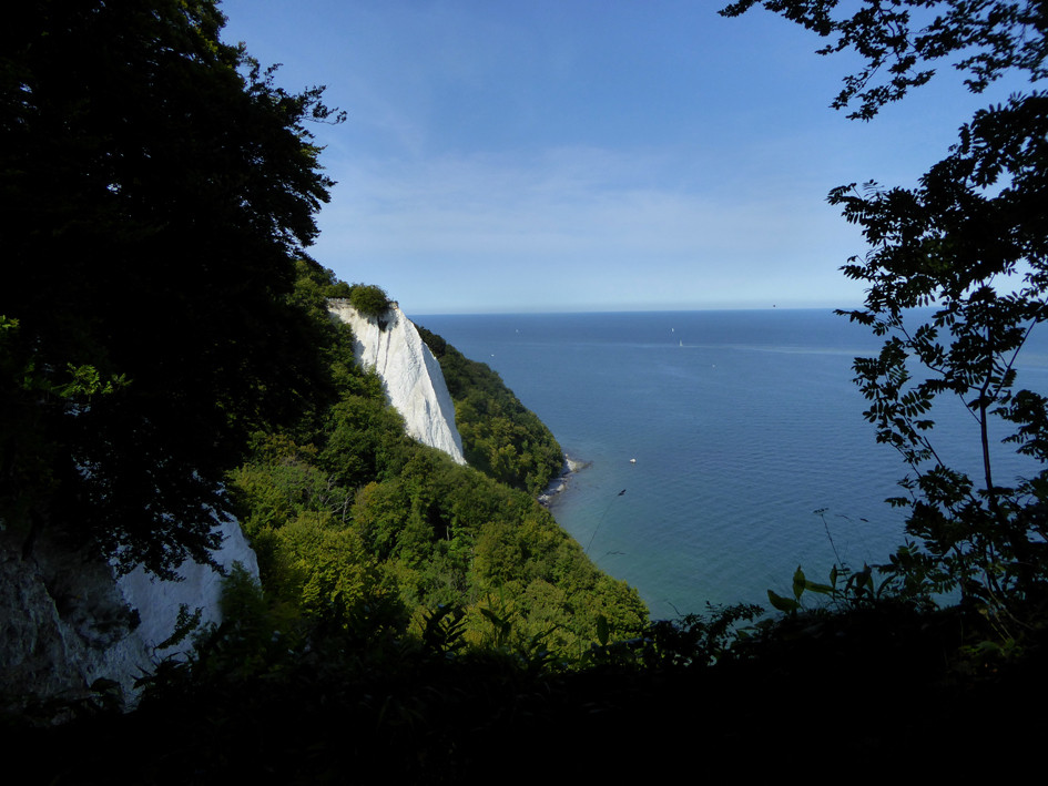 Kreidefelsen auf Rügen