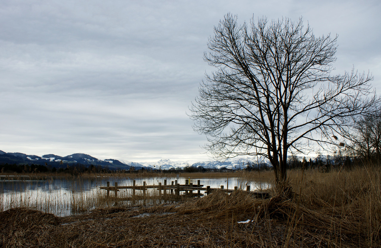 am Pfäffikersee