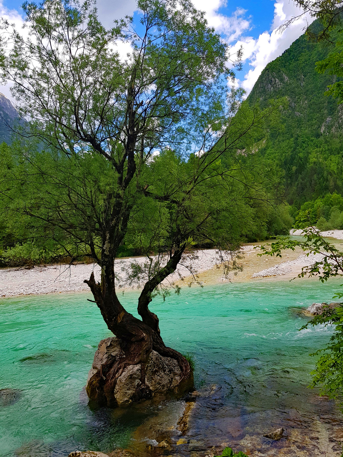 Soča-Trail von Trenta nach Bovec