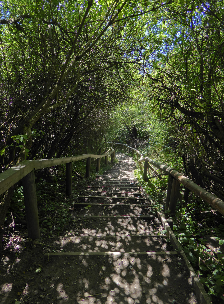 Die oft deftigen Treppen an den Strand 