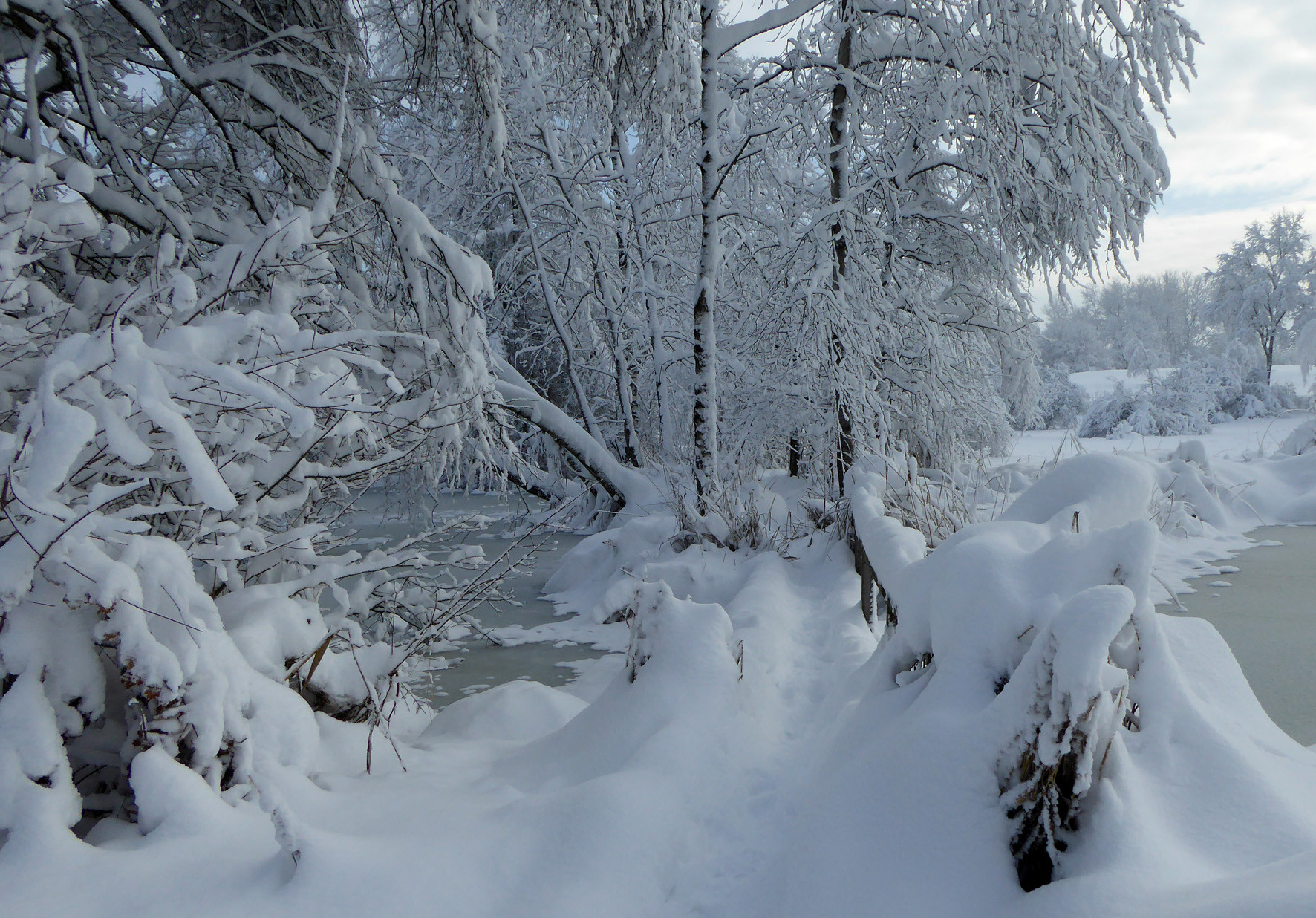 Bisikerweiher