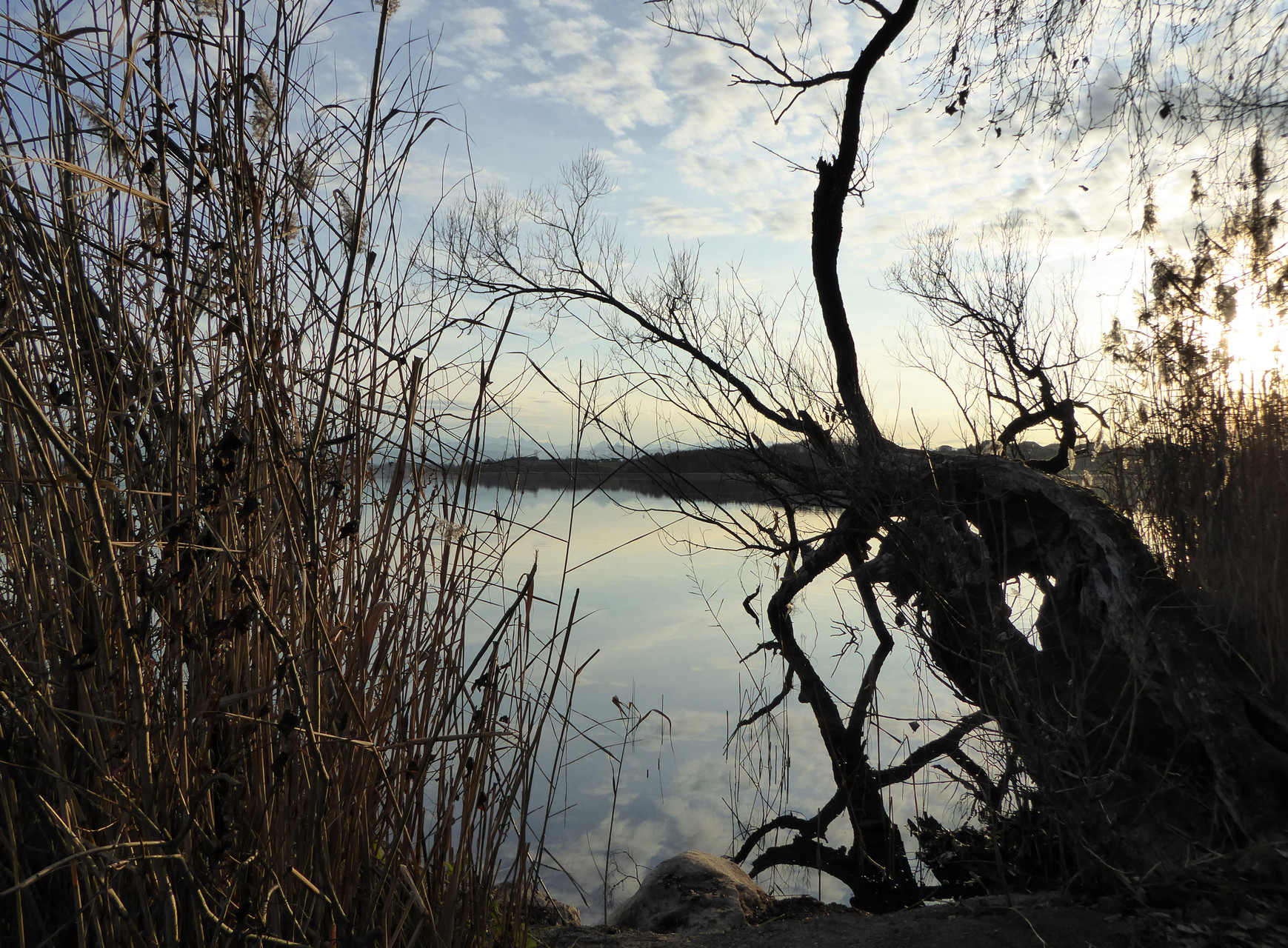 Pfäffikersee