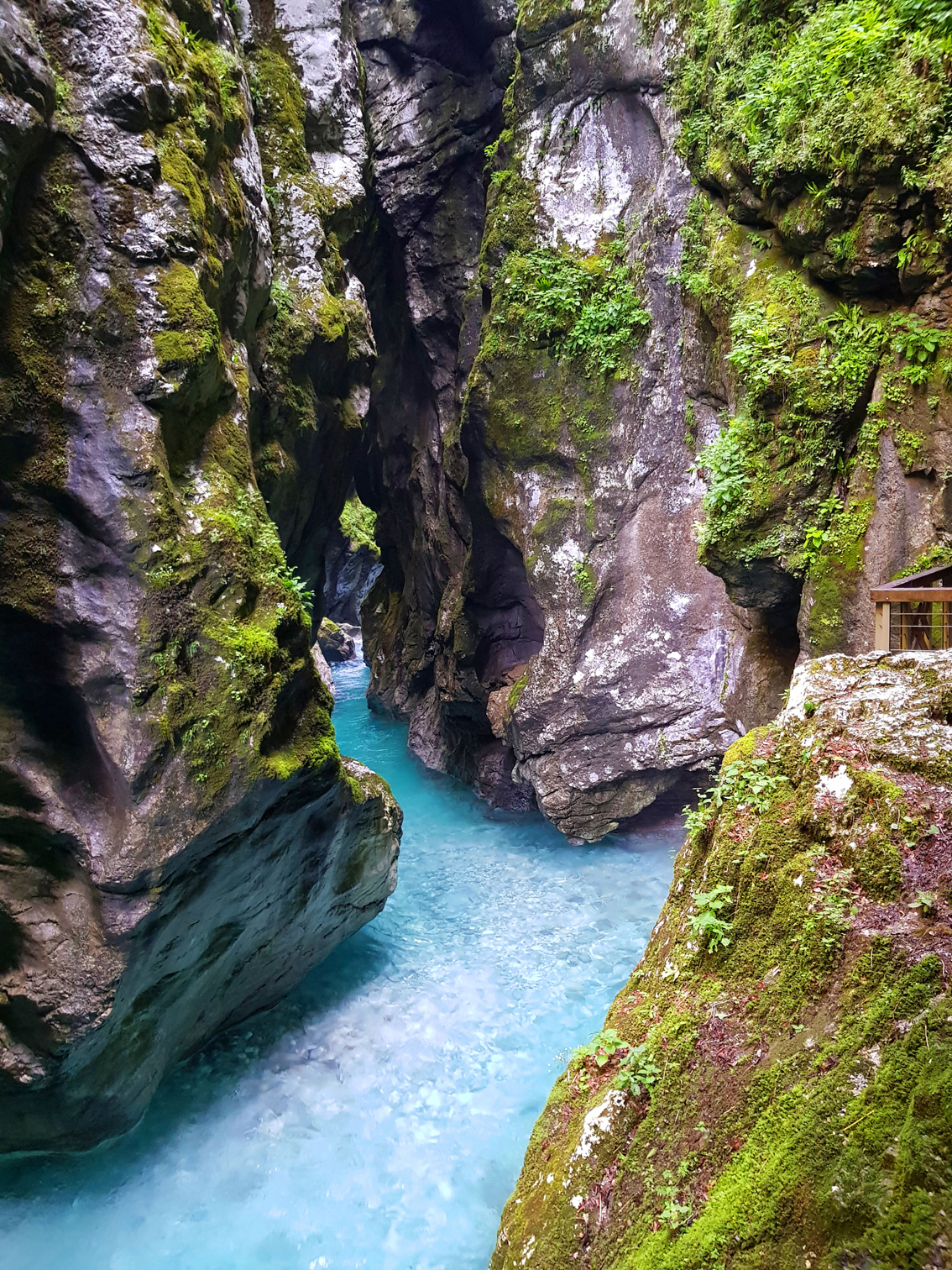 Tolminka Schlucht