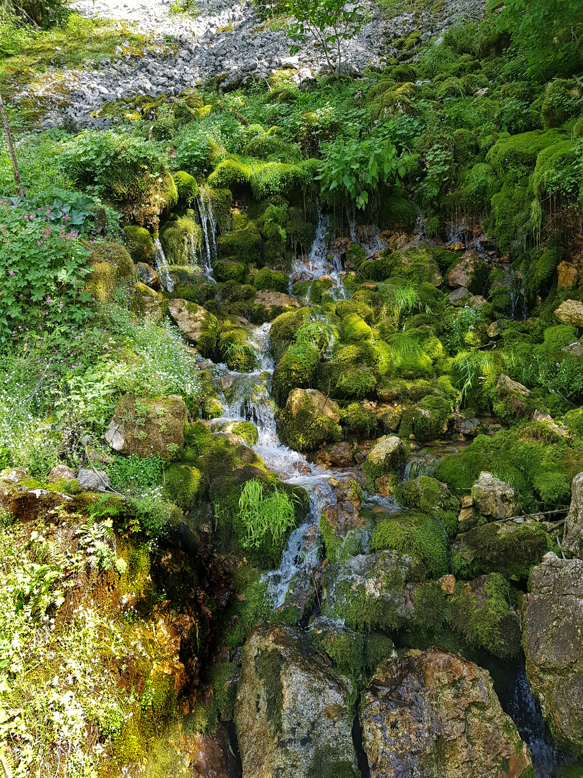 Eine der unzähligen Quellen Soča-Trail von Trenta nach Bovec. 