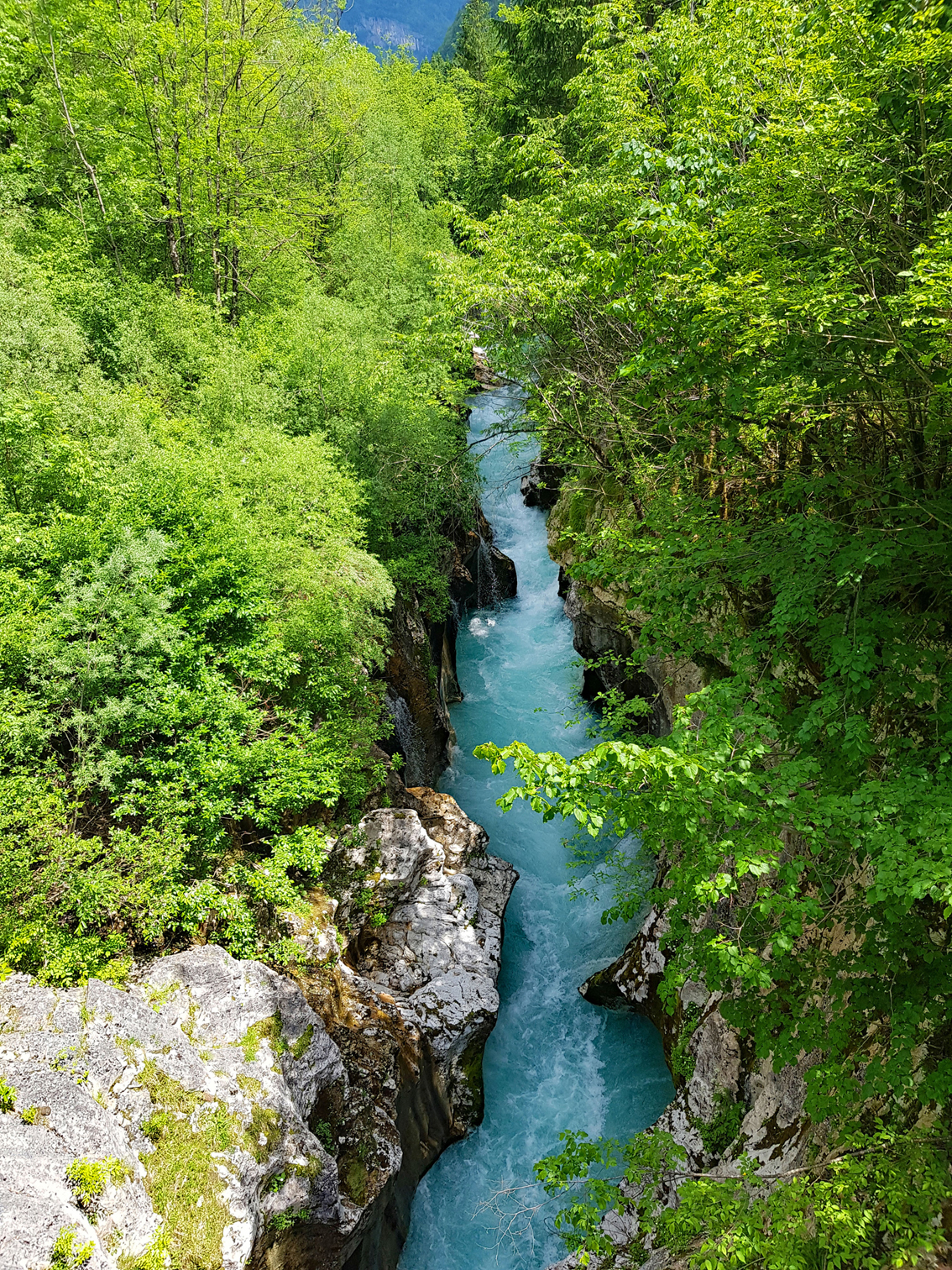 Soča-Trail von Trenta nach Bovec