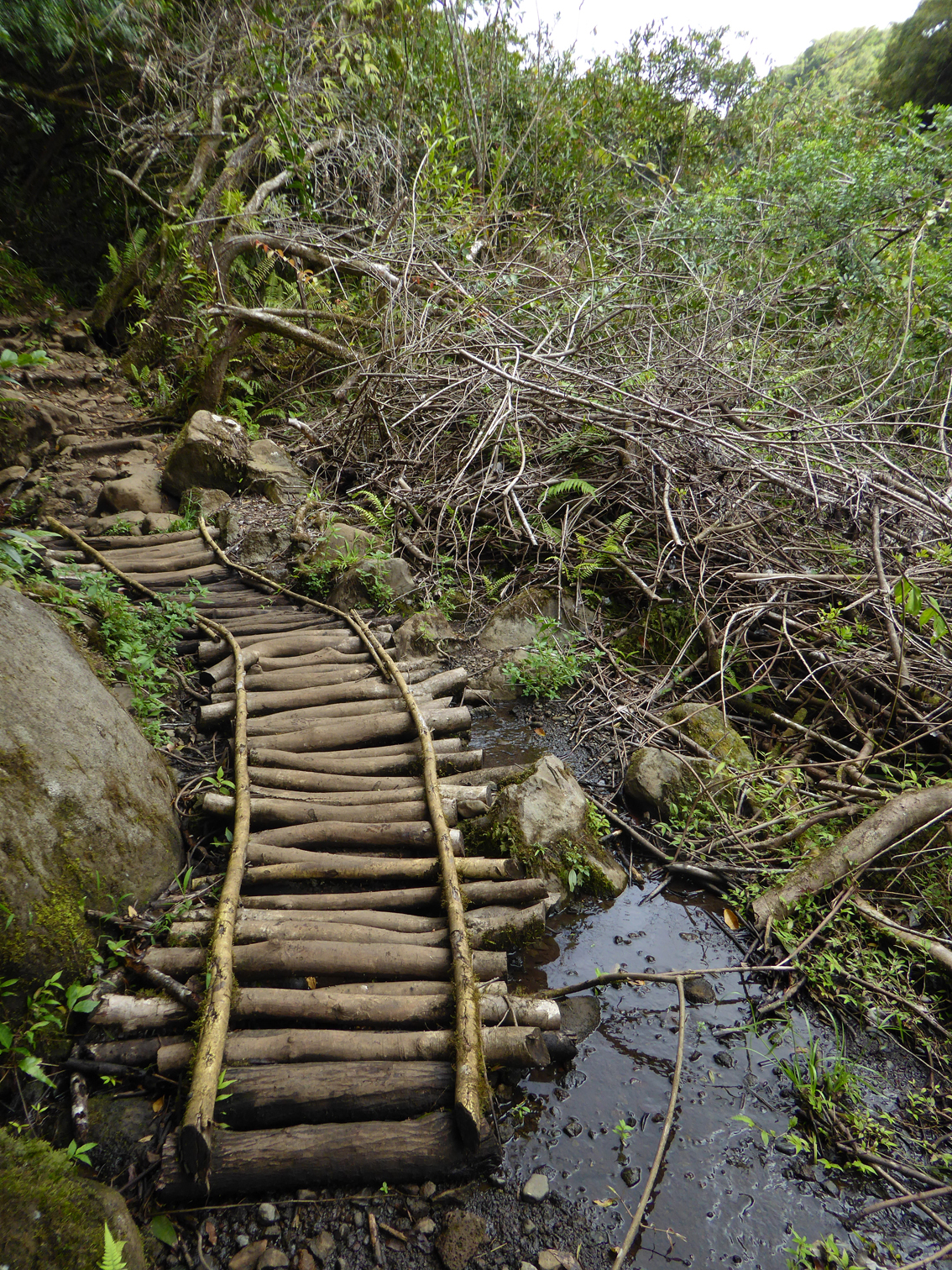 Wanderweg