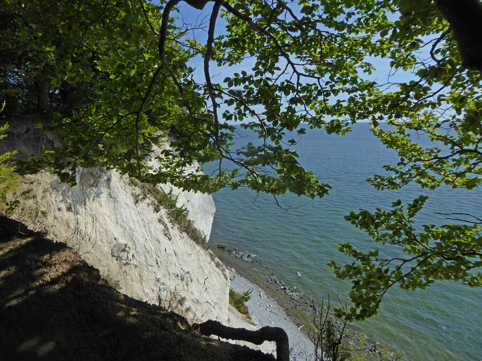 Kreidefelsen auf Rügen