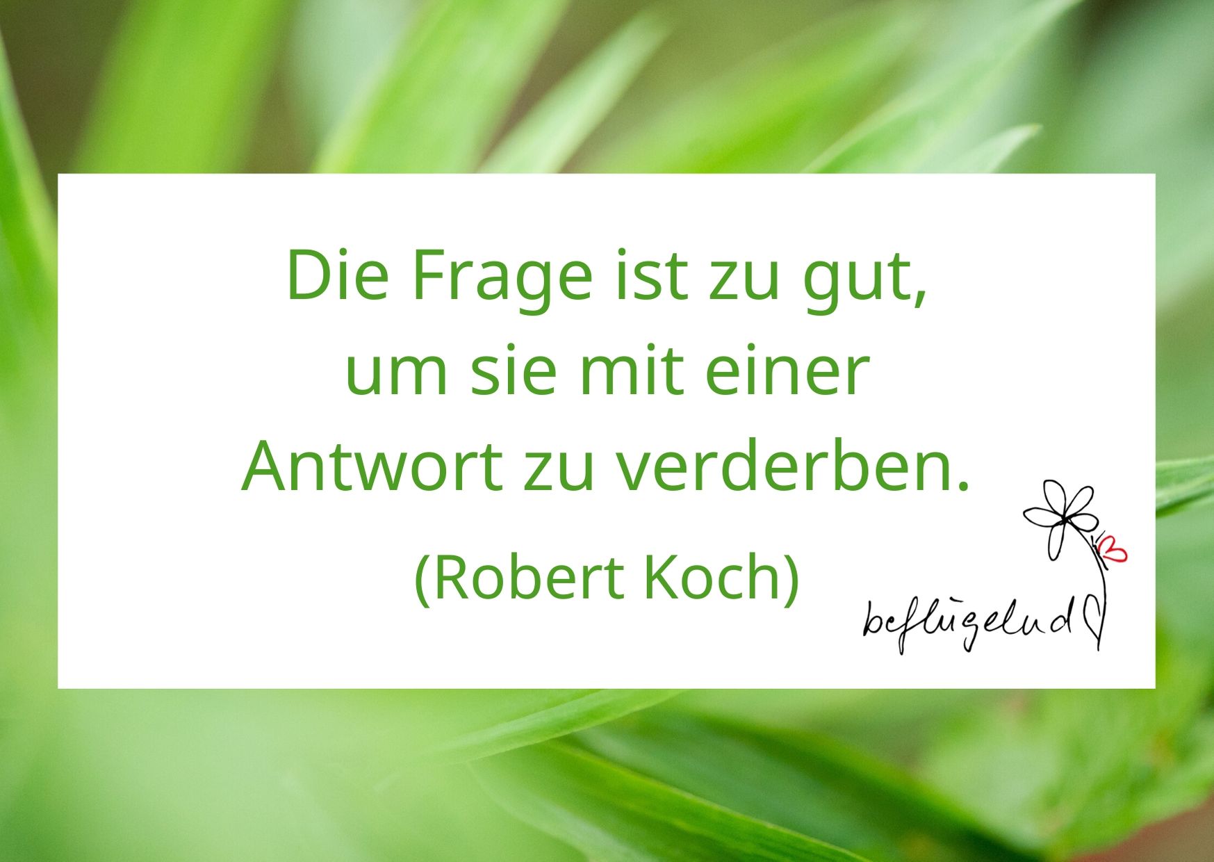 7 Tage - 7 Fragen