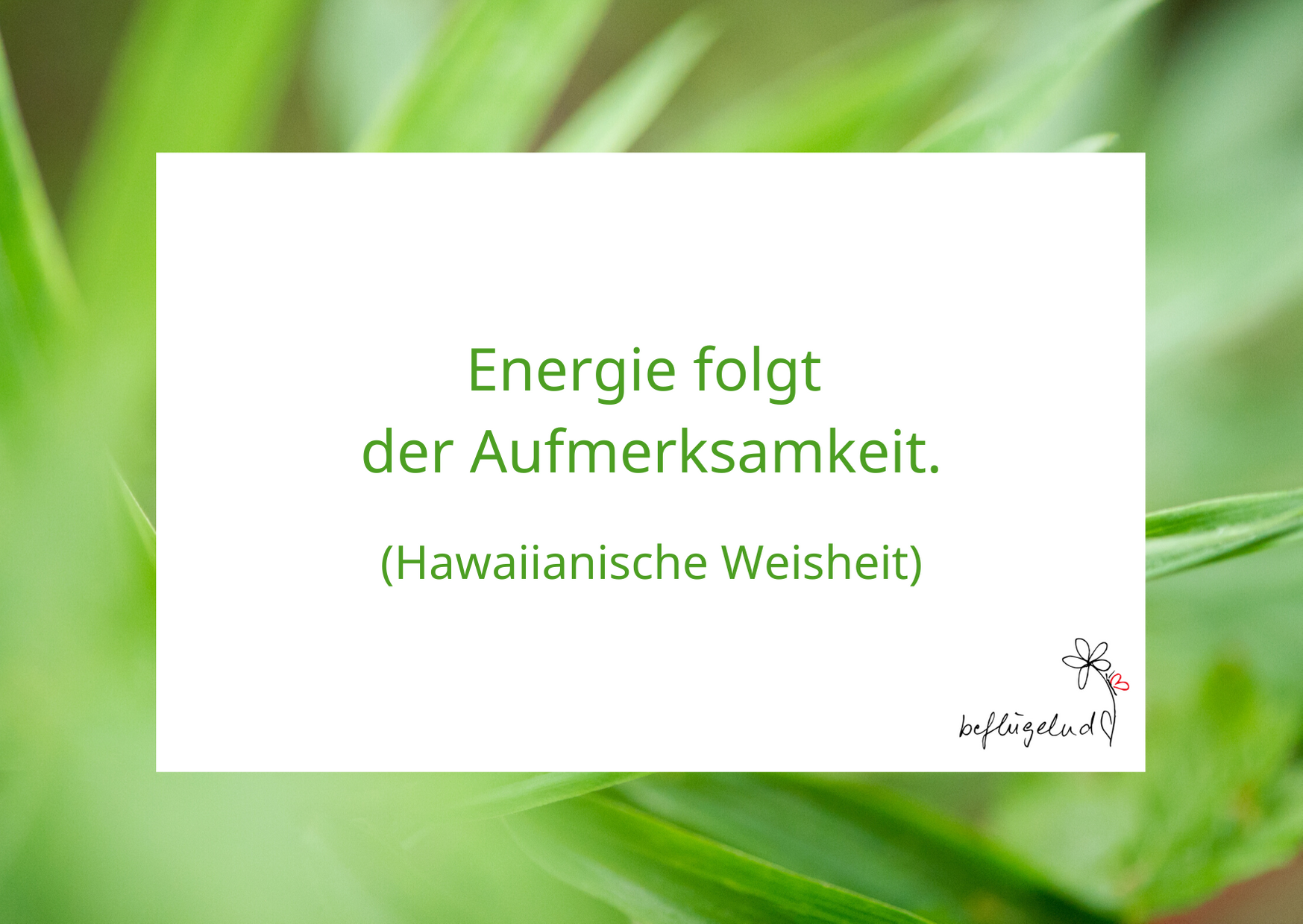 Energie folgt der Aufmerksamkeit