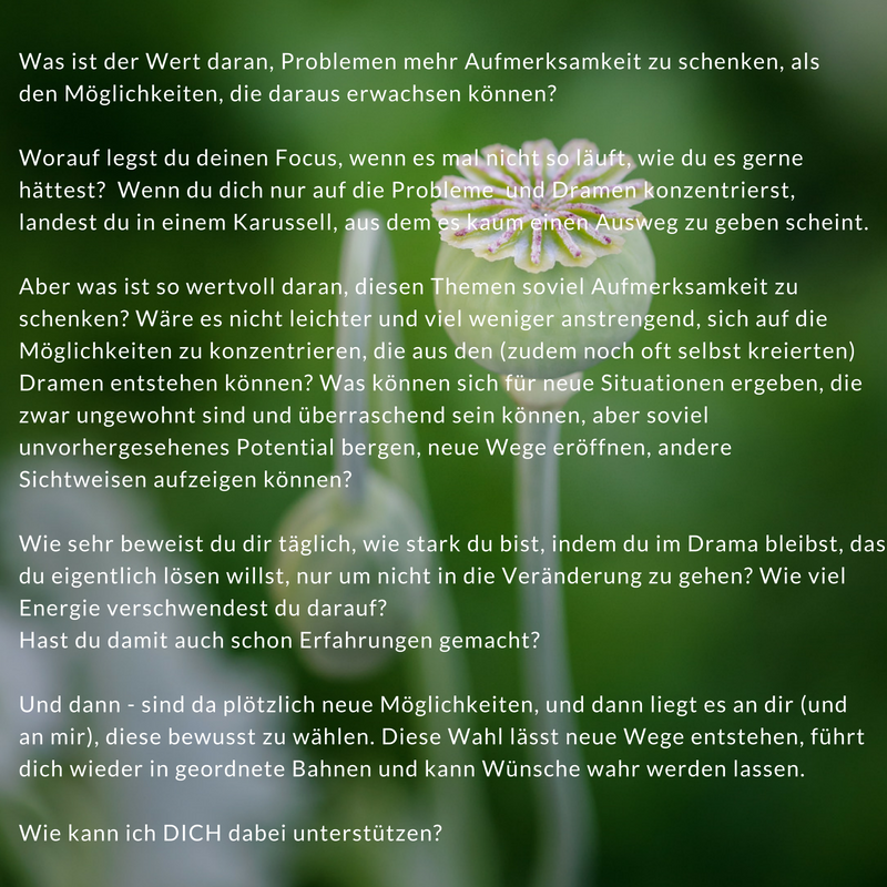 Was ist der Wert daran?