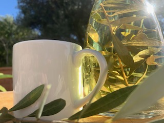 Die Gesundheitsgeheimnisse des Olivenblätter-Tees
