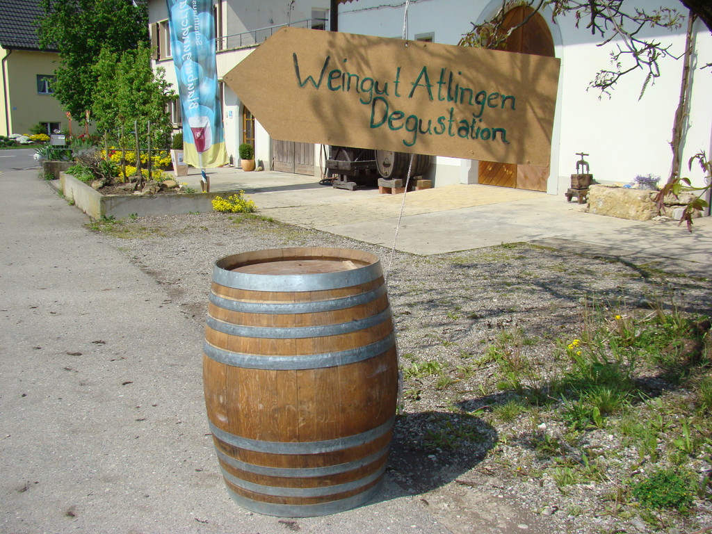 Im Weingut Atlingen in Hallau -  8./9. Mai 2010