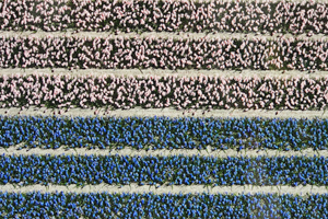 Bild: Detailausschnitt Gursky-Fotografie