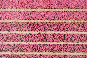 Bild: Detailausschnitt Gursky-Fotografie