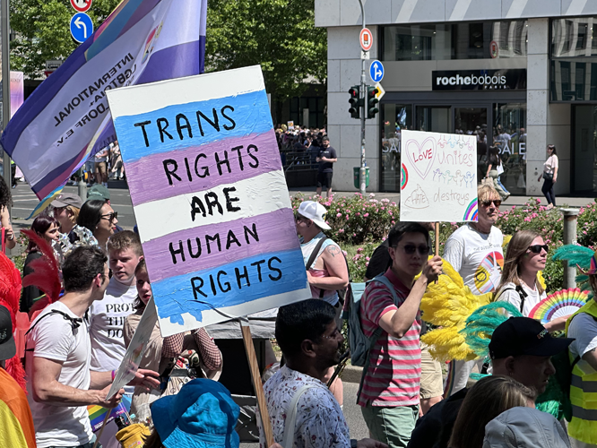 Plakat "Trans Rights are Human Right"