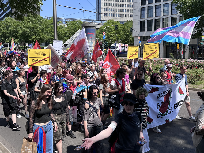 Fußgruppe der Partei "Die Linke"