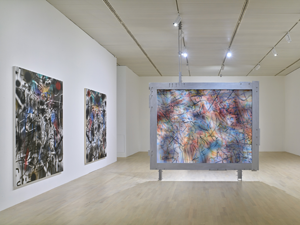 Installationsansicht Julie Mehretu