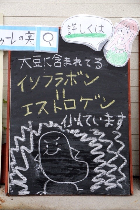 イソフラボン 若返り アンチエイジング 10歳若く