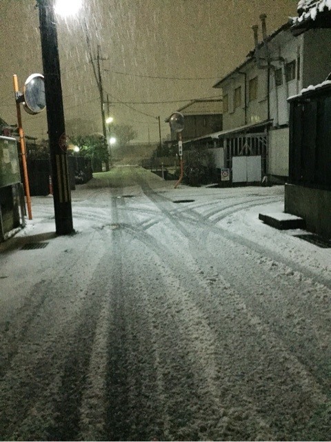 マイヅル　雪