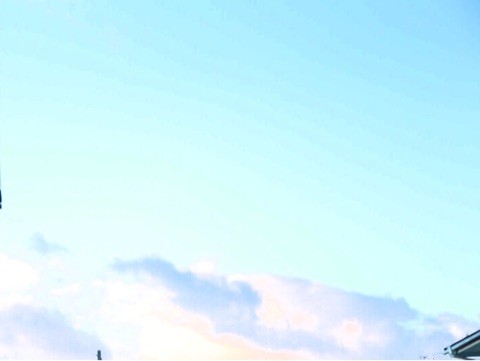 まいづる マイヅル 晴れ 晴天 雪 ふらない