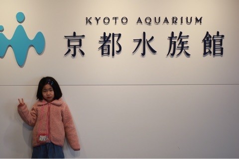 京都 娘