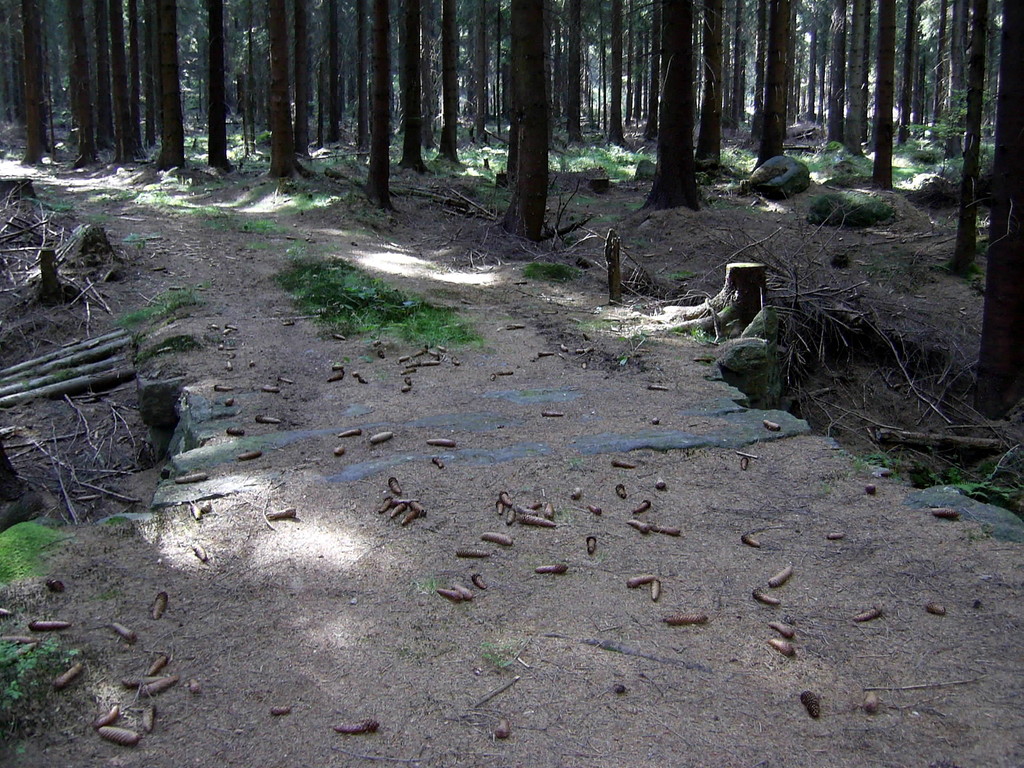 Wesenitzbrücke aus dem Jahre 1800 im Hohwald