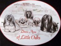 lhasa-apso-little-oakss Webseite!