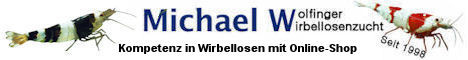 Garnelen Nürnberg, Onlineshop, Michael Wolfinger, Garnelen Zucht, 