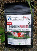 Proteinpower enthält alle für Garnelen notwendigen Nährstoffe an Aminosäuren und Proteinen.