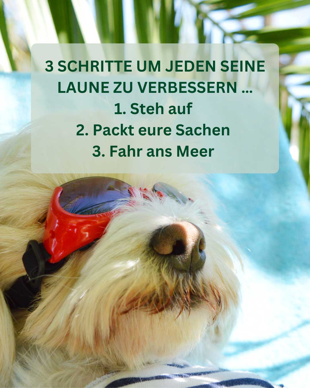 Wir machen Urlaub!