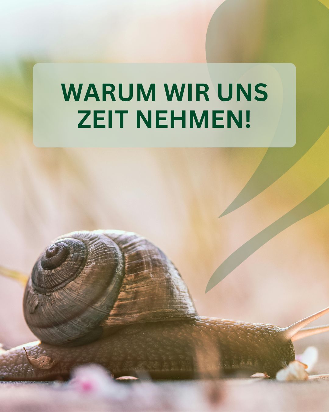 Warum wir uns Zeit nehmen!