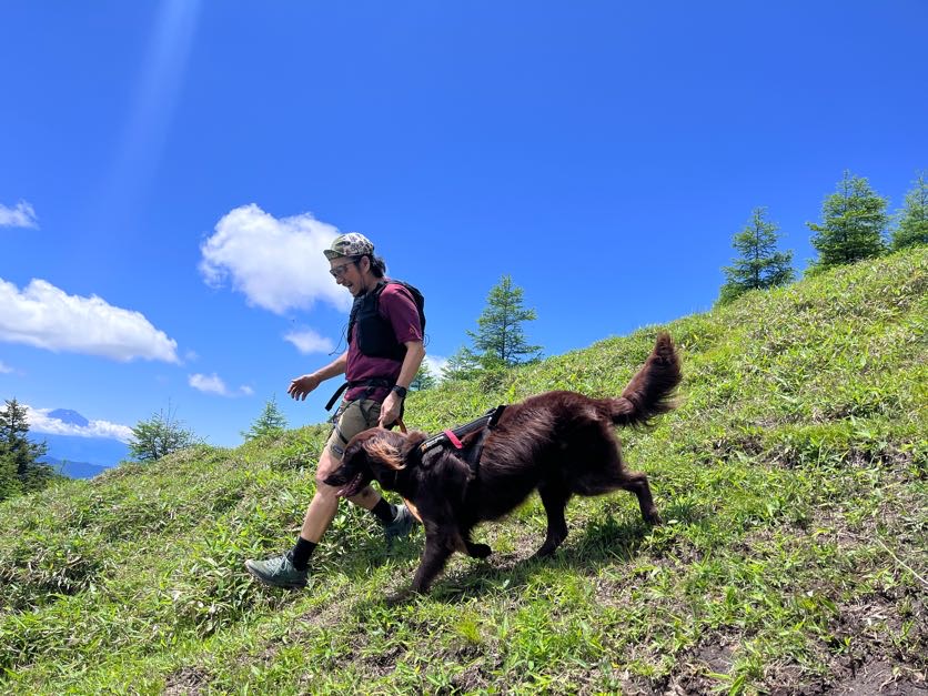 Speed Hiking With Dogs