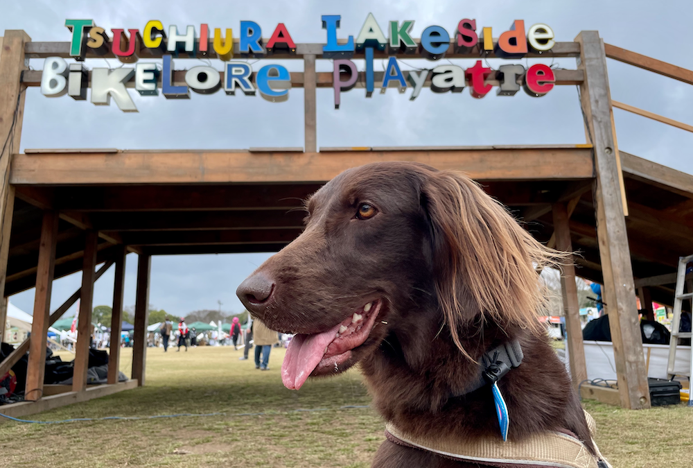 TSUCHIURA LAKESIDE BIKELORE 2 " wan-cro "