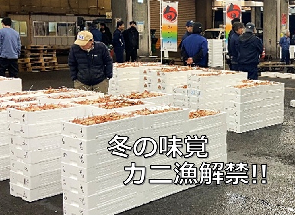 カニの季節到来！！カニ漁解禁